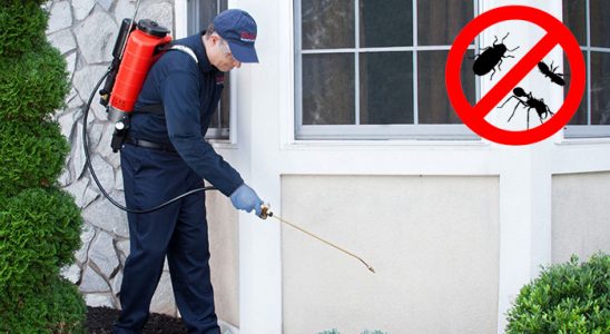 Anamur Karınca İlaçlama böcek ilaçlama ve haşere kontrolü — ilaclama-tr.com